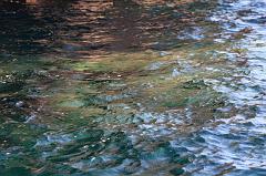 111-San Pietro,28 luglio 2014